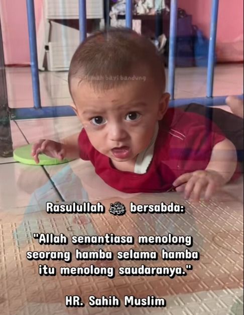banyak bayi  kecil yang butuh pertolongan